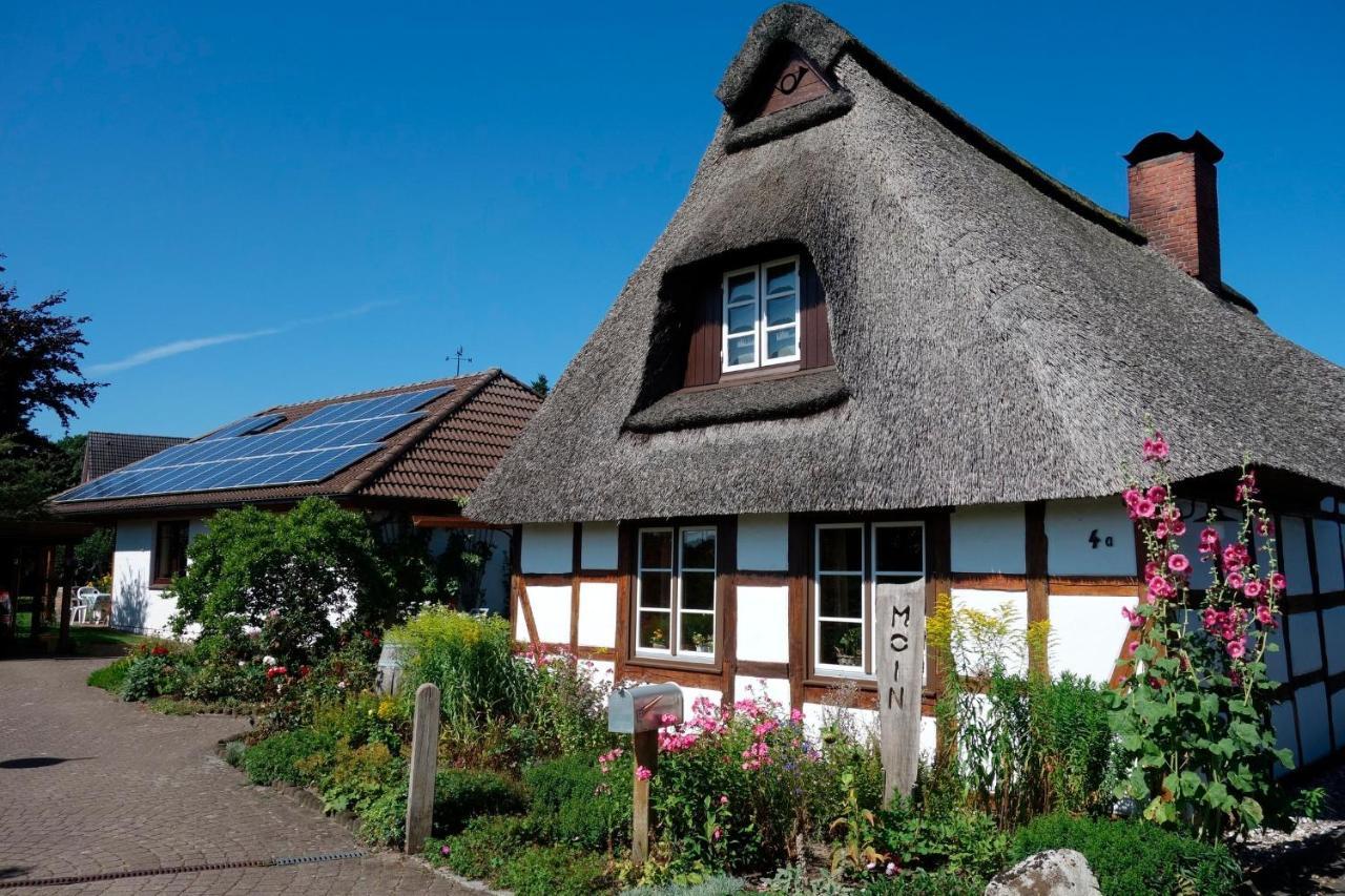 Ferienwohnung Neupert Nubbel Exterior foto